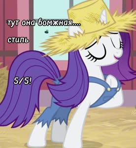 576x624