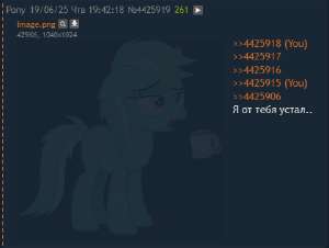482x364