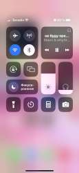 591x1280