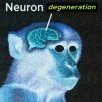 332x332