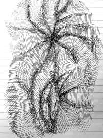 1200x1600