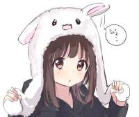 736x621