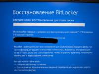 1080x810