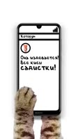 576x1024