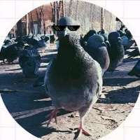 900x900