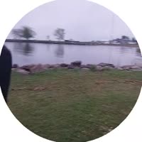 384x384