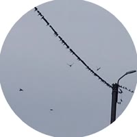 384x384