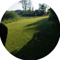 384x384