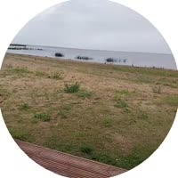 384x384