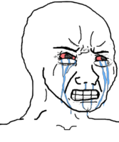 428x512