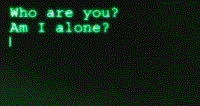 394x209