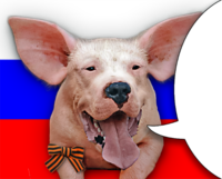 FIWChBMb.жипег