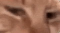 0vBWbgSJ.жипег