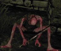 333x281