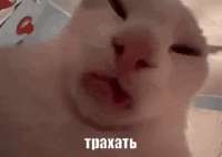 320x228