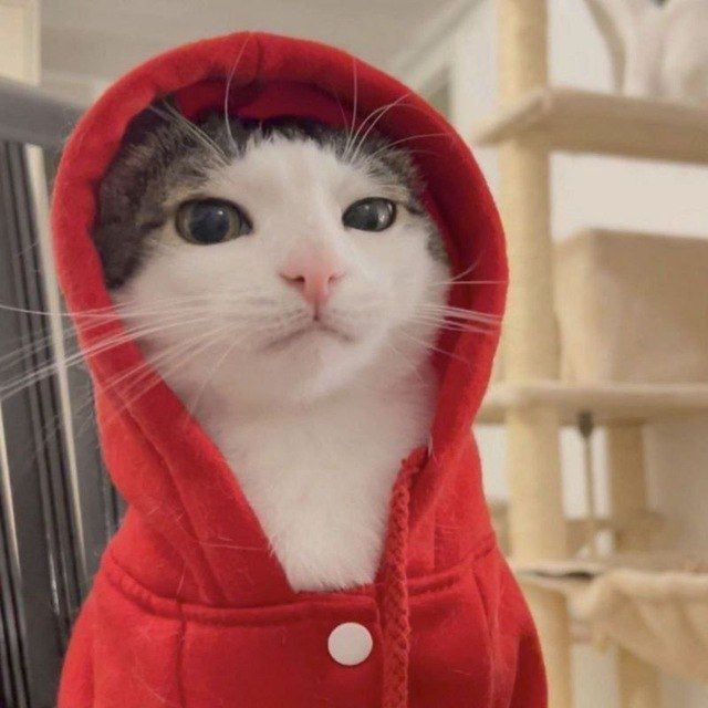 640x640