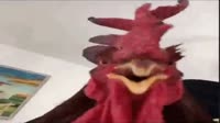 640x360
