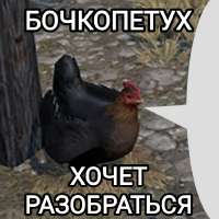 650x650