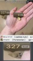 460x841