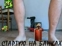 499x373