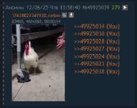 352x279