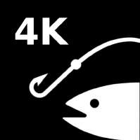 625x626