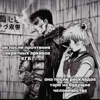 736x736